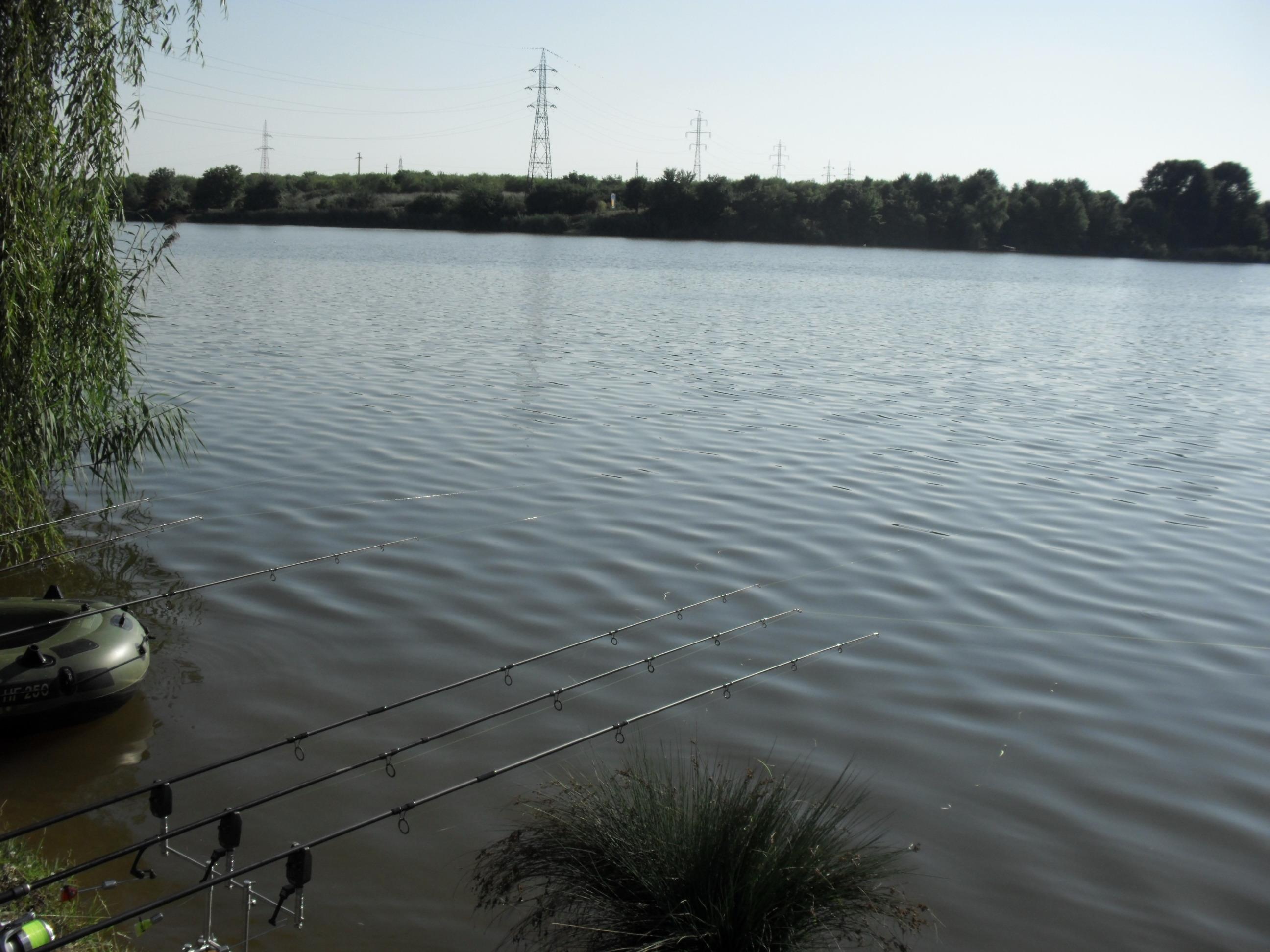 somn mania tancabesti - SAM_0861.JPG